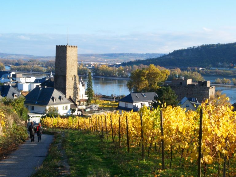 Nostalgiezugreisen|Rüdesheim 002